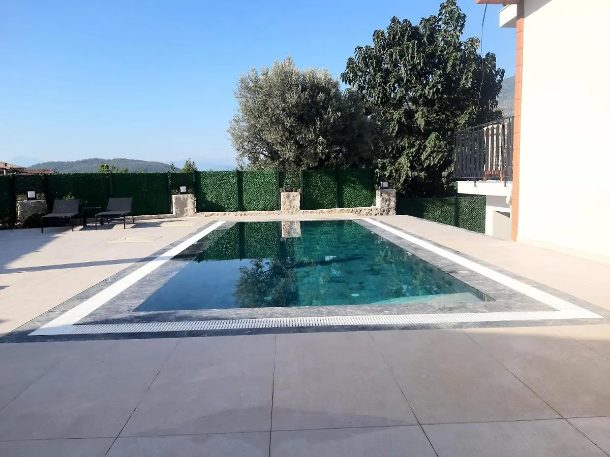 The Vineyard Hill Villa Fethiye 0*,
