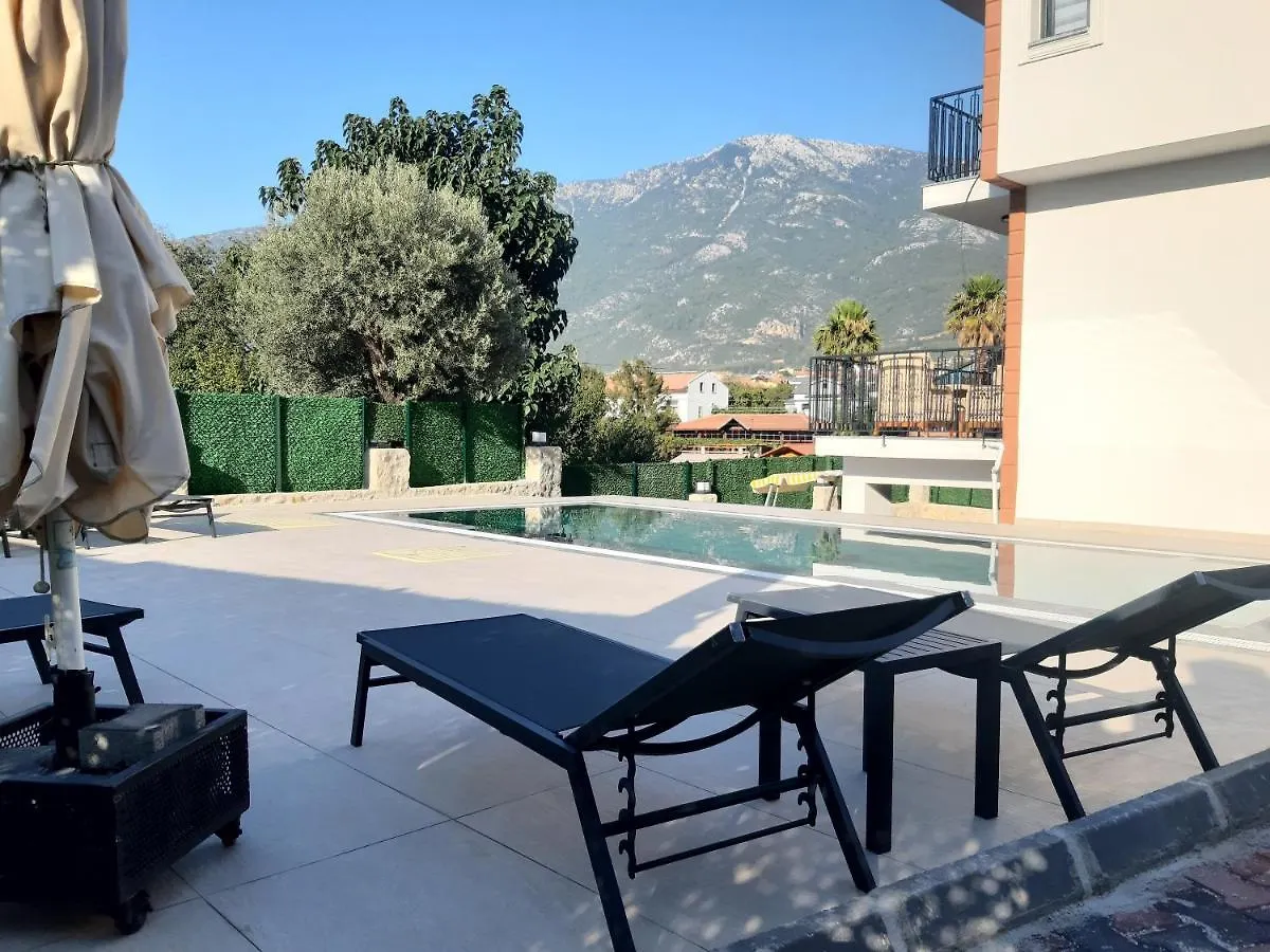 The Vineyard Hill Villa Fethiye Turkey